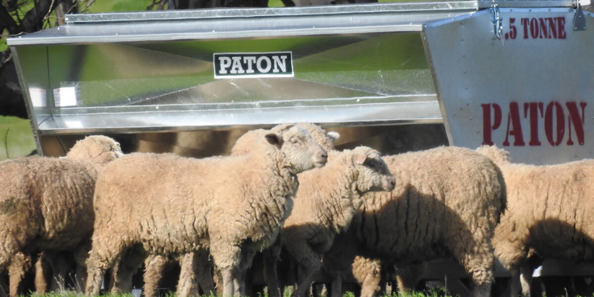 Paton Livestock wheeled sheep feeder