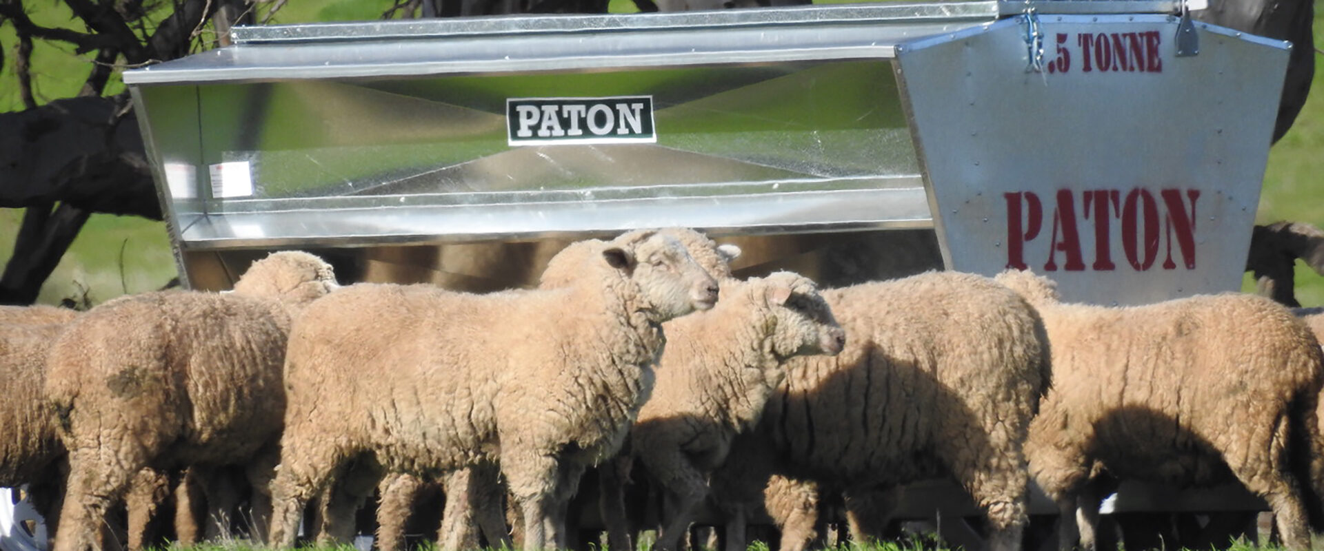 Paton Livestock wheeled sheep feeder